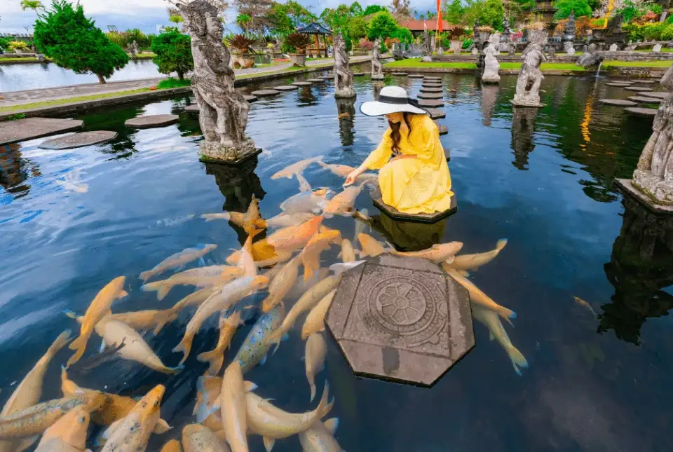 Koi Pond